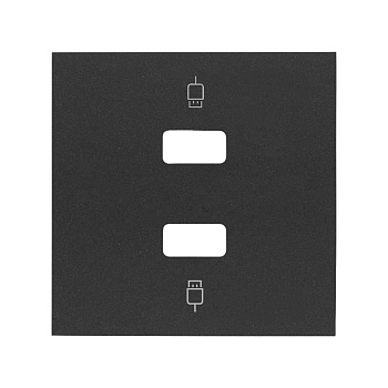 Simon 100 Черный матовый Накладка розетки 2xUSB 10001090-238