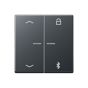 JUNG Таймер универсальный Bluetooth «стрелки», матовый антрацит A1751BFPBTANM