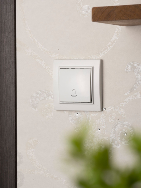 Купить EKF Basic Минск Белый Кнопка звонка, 10А, ОП