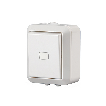 ABB Jussi Бел Переключатель 1-кл, 16А/250В, (схема 6), 2 доп.клеммы, IP44 2TKA000192G1