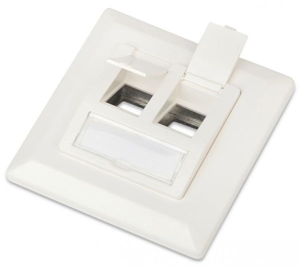 Hyperline FP-GTF-2AS-WH Рамка 80х80, для двух вставок формата Keystone Jack, пос. размер 60 мм, белая 235097
