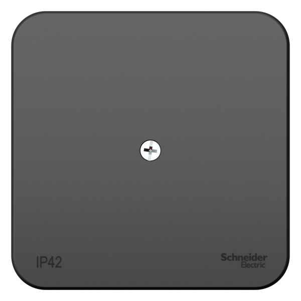 Купить Systeme Electric Blanca наруж Антрацит Коробка распределительная