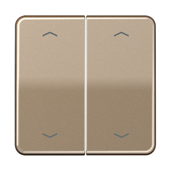 JUNG Клавиши для сдвоенной кнопки BCU золотая бронза CD595MPGB