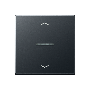 JUNG Клавиша, матовый антрацит A590BFKO5PANM