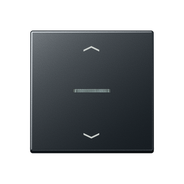 JUNG Клавиша, матовый антрацит A590BFKO5PANM
