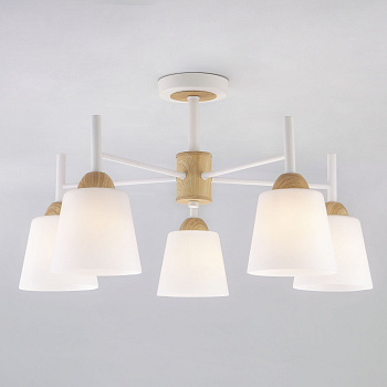 Eurosvet Потолочная люстра со стеклянными плафонами 70085/5 белый 00000083420