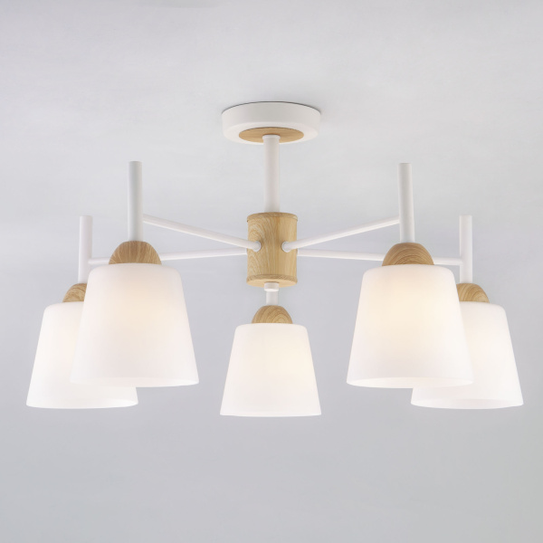 Eurosvet Потолочная люстра со стеклянными плафонами 70085/5 белый 00000083420