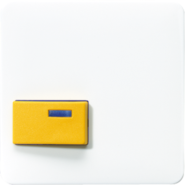 JUNG Крышка для изделий фирмы Ackermann белая CD642DWW