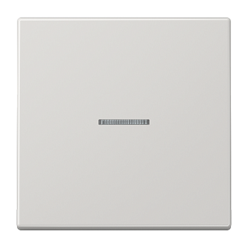 JUNG LS 990 Светло-серая Клавиша 1-ая с/п LS990KO5LG