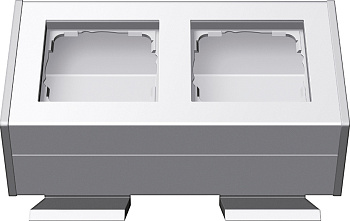 Gira Профиль 55 с узлом крепления, 2-ная 119227