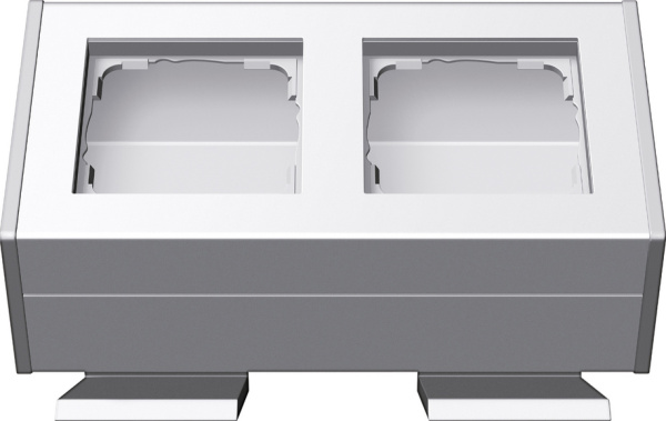 Gira Профиль 55 с узлом крепления, 2-ная 119227