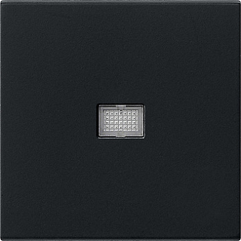 Gira Клавиша с большим контрольным отверстием 0298005