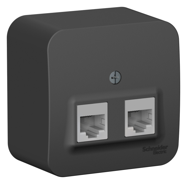 Купить Systeme Electric Blanca наруж Антрацит Розетка 2-ая компьютерная RJ45, кат.5E, изол. пластина