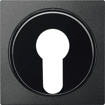 SE Merten SM Антрацит Центральная плата для переключателя с фиксатором положения (MTN318114)