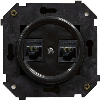 BIRONI Шедель Пластик Черный Розетка  2-ая RJ45  (скрытый монтаж) B3-302-23