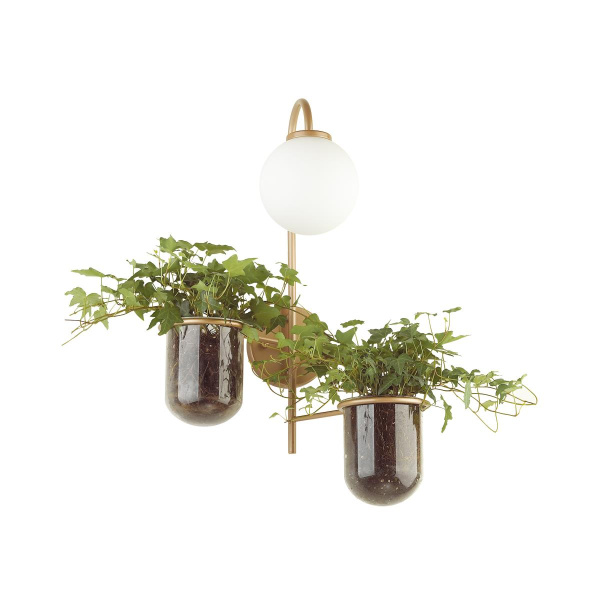 Odeon Light 4682/1W ODL20 624 золото/белый Настенный светильник E14 1*40W 220V FLOWER