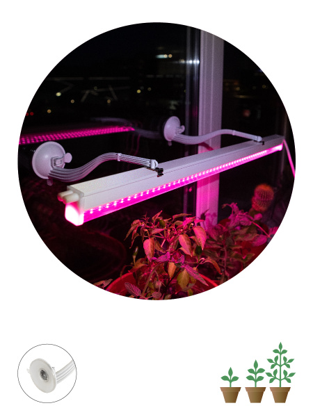 ЭРА Кронштейн для фитоламп и фитосветильников FITO-Hanger 2Х комплект кронштейнов на присоске, в упаковке 2 шт.