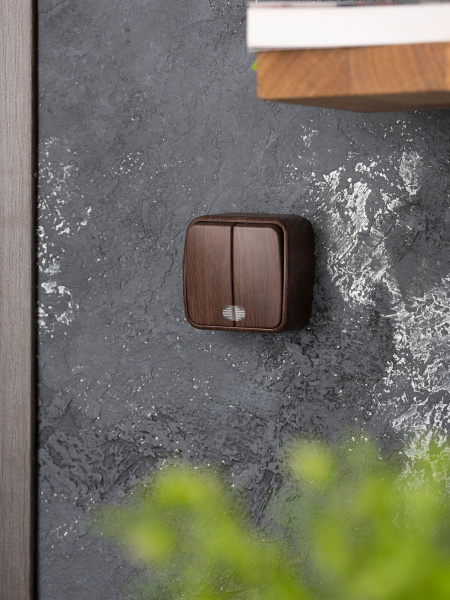 Купить EKF Basic Минск Темное дерево Выключатель 2-кл с индикатором,10А, ОП