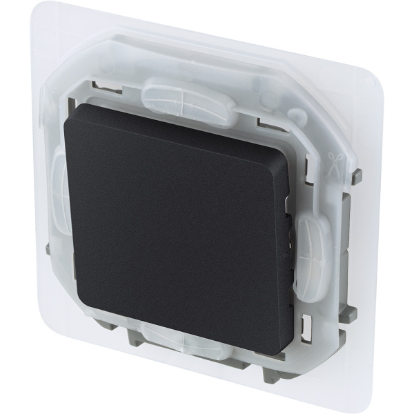 Купить Legrand INSPIRIA Антрацит Переключатель IP44 10 AX - 250 В 673673