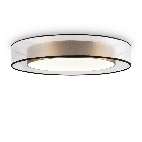 Freya Zoticus F FR6005CL-L48G Потолочный светодиодный светильник