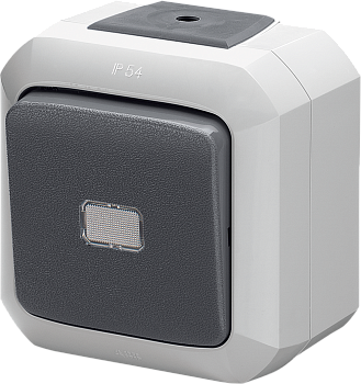 ABB Variant+ Серый Переключатель одноклавишный с прозрачной линзой, IP54 2CHN582552C4517