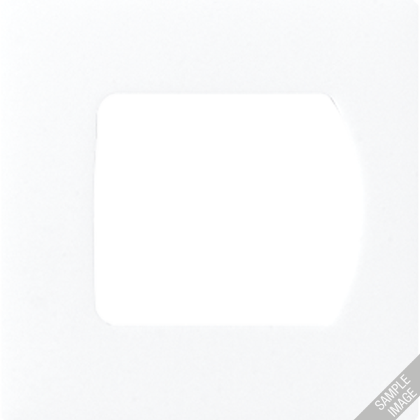 JUNG Крышка для системы "Ackermann" LS189A