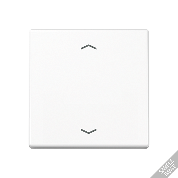 JUNG Клавиша, матовый антрацит A590BFPANM