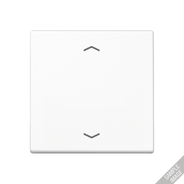 JUNG Клавиша, матовый антрацит A590BFPANM