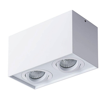 Arte Lamp FACTOR Потолочные светильники A5544PL-2WH