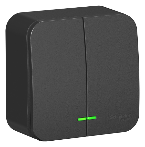 Купить Systeme Electric Blanca наруж Антрацит Выключатель 2-клавишный с подсветкой 10А,250B, изолир. пластина