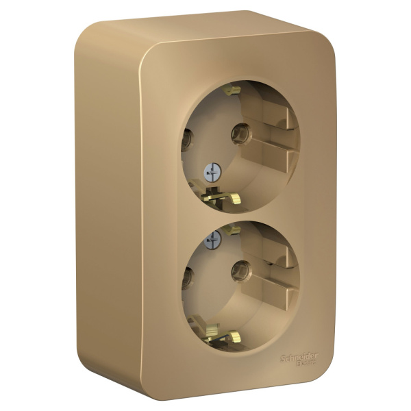 Systeme Electric Blanca наруж Титан Розетка 2-ая с/з без шторок, 16А, 250В