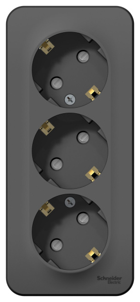 Купить Systeme Electric Blanca наруж Антрацит Розетка 3-ая с/з со шторками 16А, 250В, изолир. пластина
