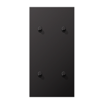 JUNG LS1912 Dark Центральная плата, 2 поста, для вертикальной установки, тумблеры 2+2,цилиндр; метал. исполнение AL12-25DR01