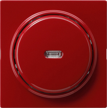 Gira Выключатель с клавишей 2-полюсный с окошком 012243