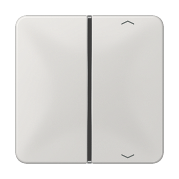 JUNG клавиша с символом для пульта KNX, светло-серая, для серии CD CD401TSAPLG