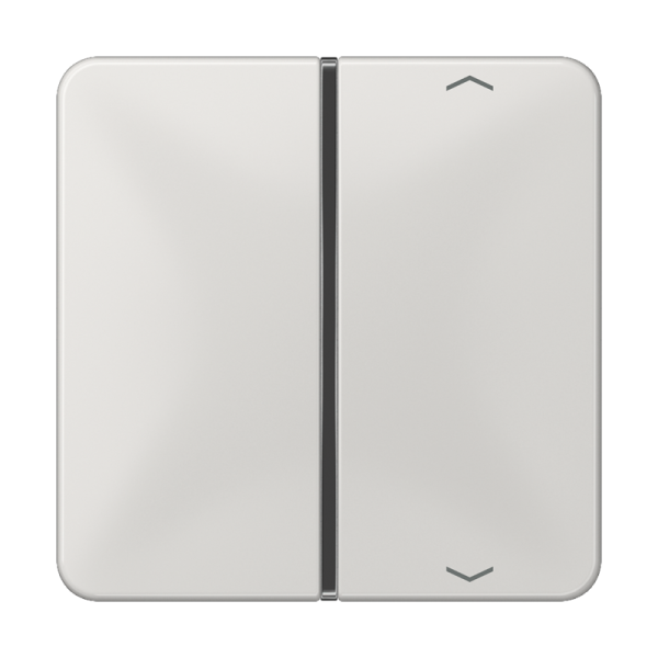 JUNG клавиша с символом для пульта KNX, светло-серая, для серии CD CD401TSAPLG