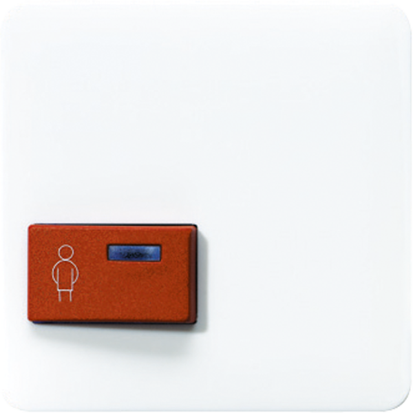 JUNG Крышка для изделий фирмы Ackermann CD022A-1WW