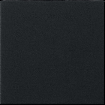 Gira SYSTEM 55 Накладка управления System 3000 5360005