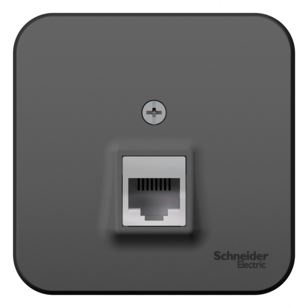 Systeme Electric Blanca наруж Антрацит Розетка компьютерная RJ45, кат.5E, изолир. пластина