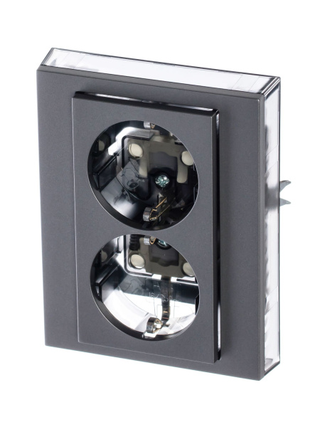 Купить ABB EPJ Levit сталь / дымчатый чёрный Розетка двойная с заземл, со шторками 2CHH223457C6069