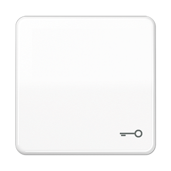 JUNG CD 500/CD plus Белая Клавиша 1-ая с символом КЛЮЧ CD590TWW