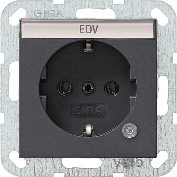 Gira Розетка с з/к и контрольной лампой и полем для надписи 045228
