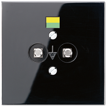 JUNG Розетка штепсельная для выравнивания потенциалов чёрная LS965-2SW