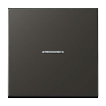 JUNG LS 990 Ombre naturelle 59(4320R) Клавиша 1-ая с/п LC990KO54320R