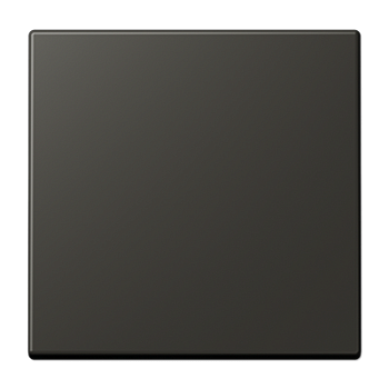 JUNG LS 990 Ombre naturelle 59(4320R) Клавиша 1-ая LC9904320R