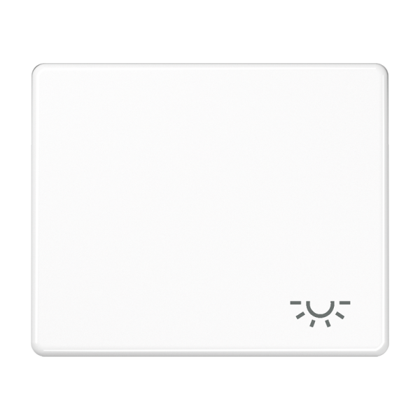 JUNG SL 500 Белая Клавиша 1-ая с символом ОСВЕЩЕНИЕ SL590LWW