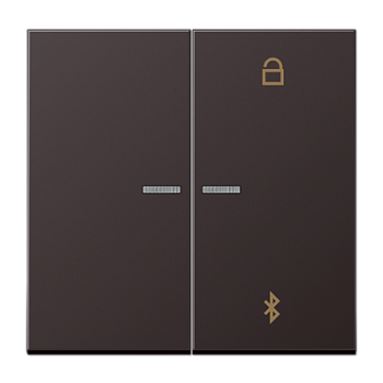 JUNG Таймер универсальный Bluetooth, Dark AL1751BTD