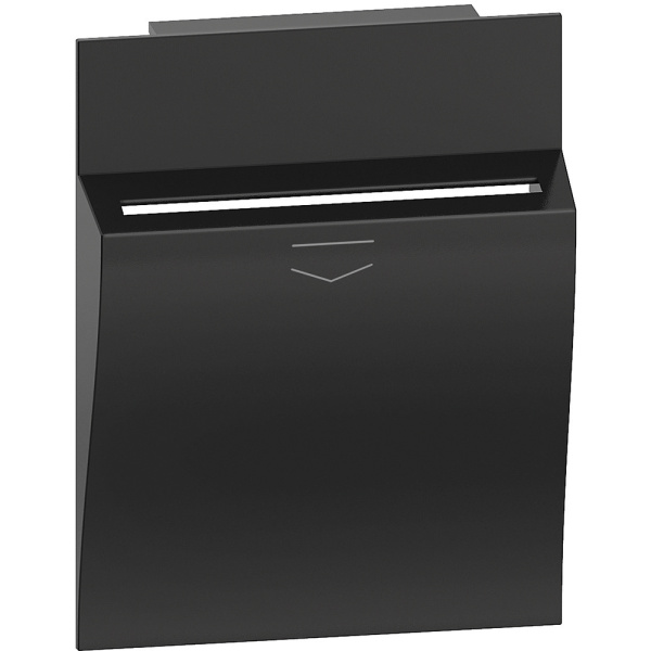 BT Living now Черный Лицевая панель для карточного выключателя 2 мод KG22M2