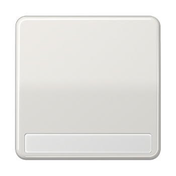 JUNG CD 500/CD plus Светло-серая Клавиша 1-ая с полем для надписи CD590NALG