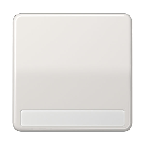 JUNG CD 500/CD plus Светло-серая Клавиша 1-ая с полем для надписи CD590NALG